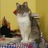 Отзыв от Таисия Королева